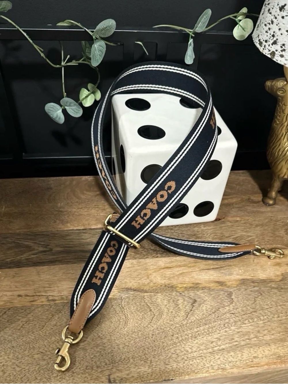 Coach Colorblock Webbing Strap - Picture 2 of 8